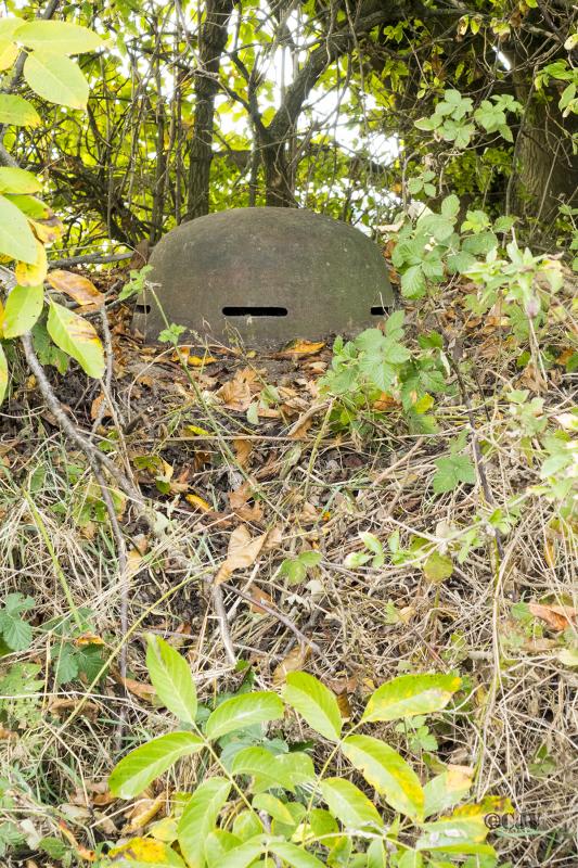 Ligne Maginot - 92 - TROIS-MAISONS OUEST - (Ouvrage d'infanterie) -  - Lia VERMEULEN