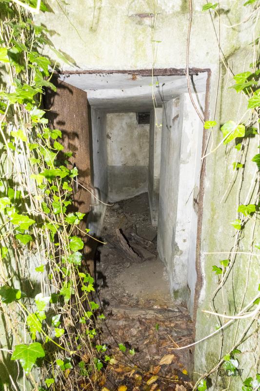 Ligne Maginot - ESCHENGRABEN 2 - (Blockhaus pour arme infanterie) -  - Lia VERMEULEN