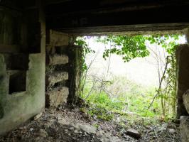 Ligne Maginot - A115 - LES CULEES SUD - (Blockhaus pour canon) - 