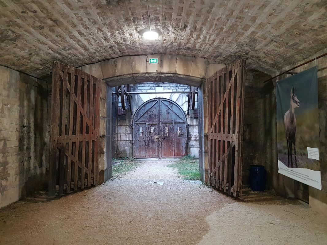 Ligne Maginot - FORT DE L'ECLUSE - (Position d'artillerie préparée) -  -  ELLENA-CUNY
