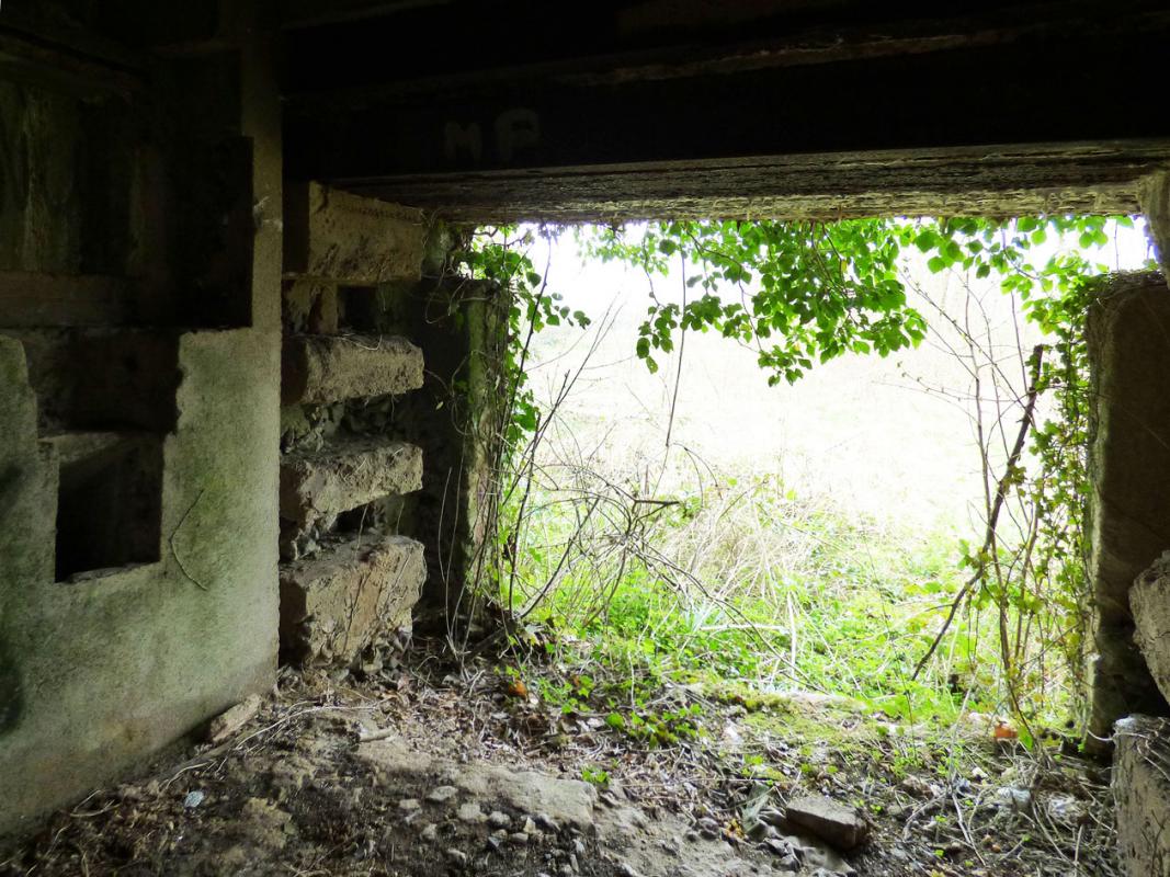 Ligne Maginot - A115 - LES CULEES SUD - (Blockhaus pour canon) -  - JMBrams