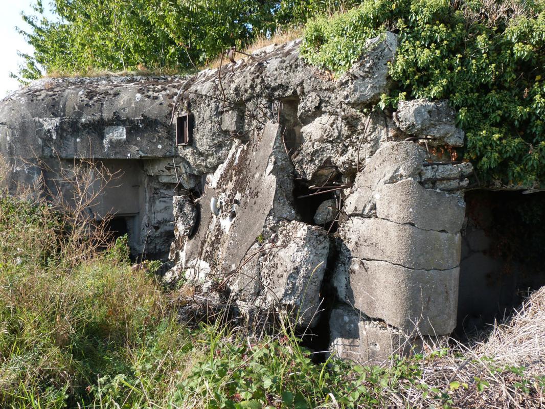 Ligne Maginot - INGOLSHEIM Ouest ( Casemate d'infanterie ) -  - JMBrams