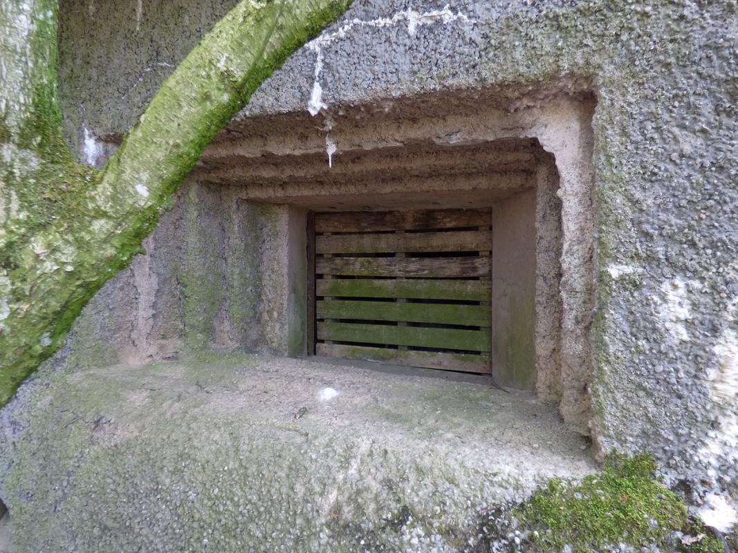 Ligne Maginot - A53 - BELHOMME - (Blockhaus pour canon) -  - JMBrams