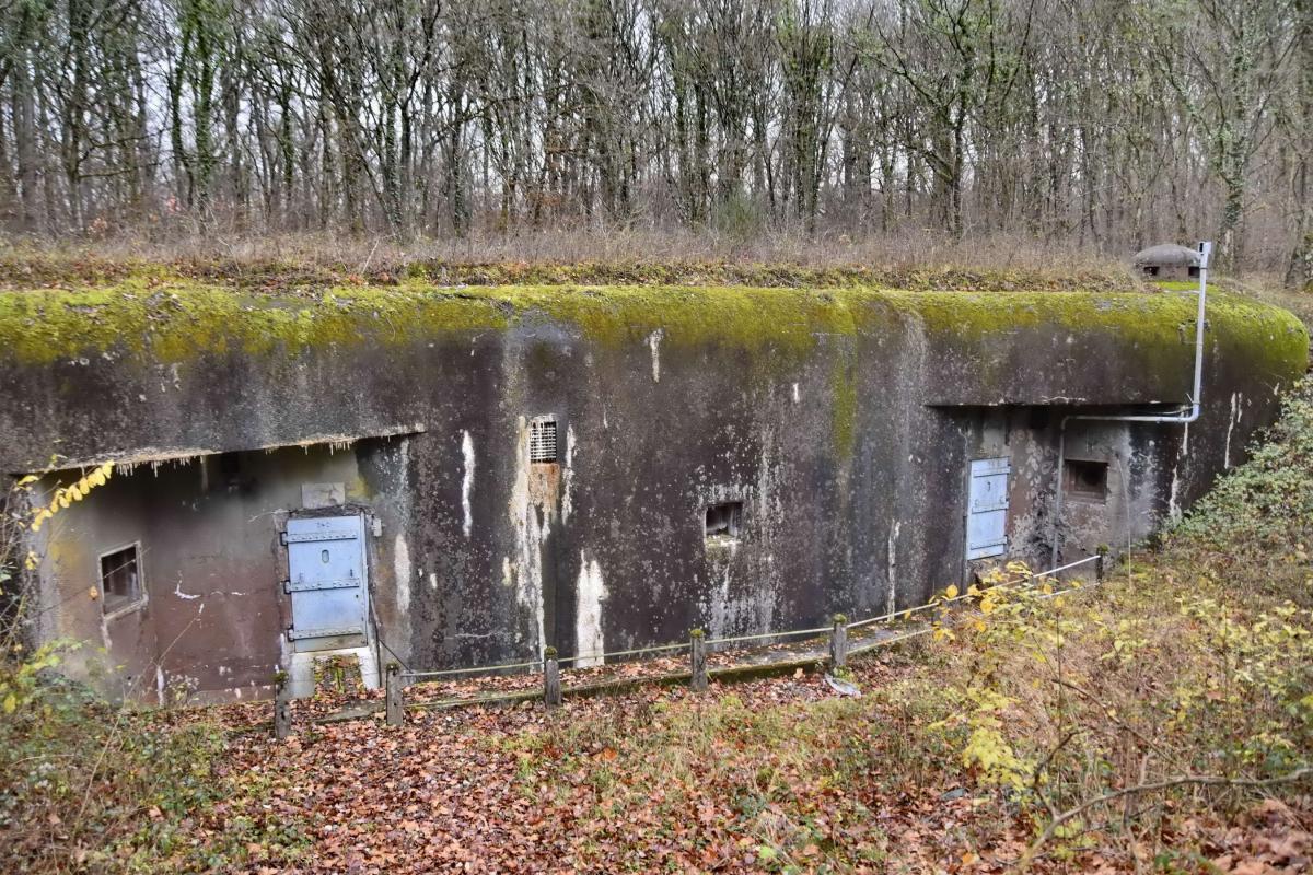 Ligne Maginot - BOIS DE CATTENOM - X14 - (Abri) - Vue générale - D.Froehly