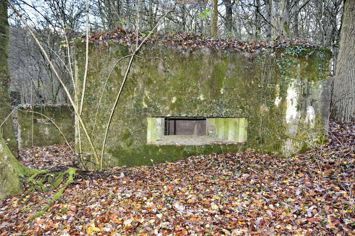 Ligne Maginot - CB202 - RETTELBOURG 1 - (Blockhaus pour canon) - Créneau de tir - D.Froehly