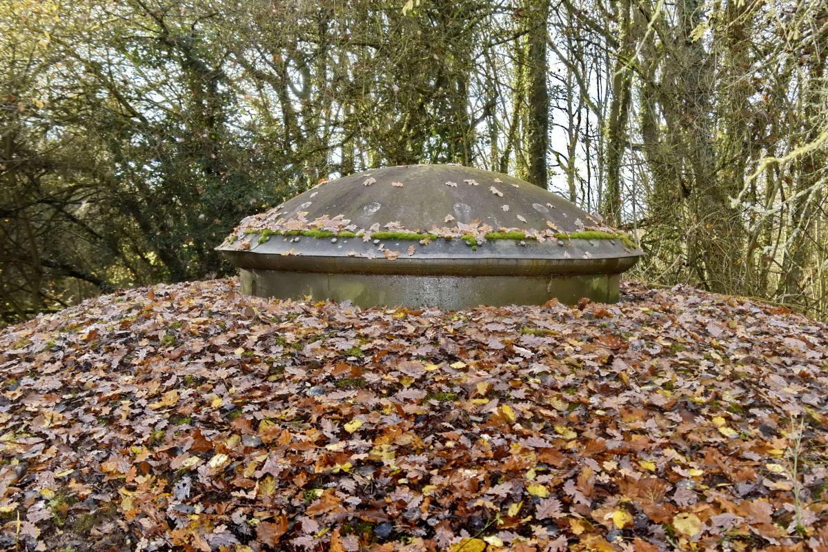 Ligne Maginot - GALGENBERG - A15 - (Ouvrage d'artillerie) - Bloc 3
Tourelle mitrailleuses - D.Froehly