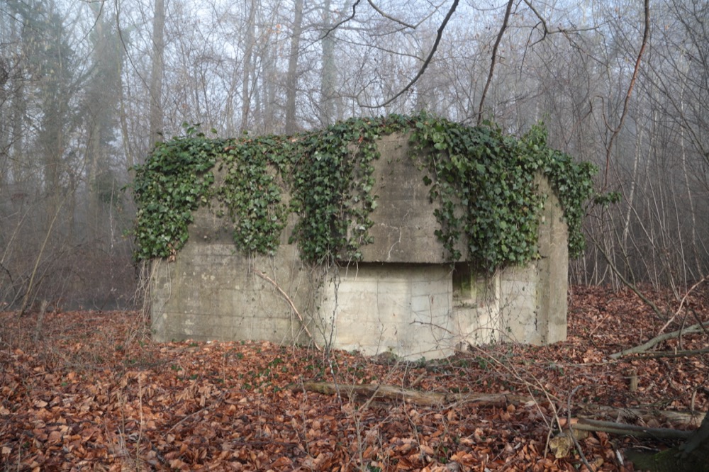 Ligne Maginot - KUEHNENSAND SUD - (Blockhaus pour arme infanterie) -  - Les Gardiens du Rhin