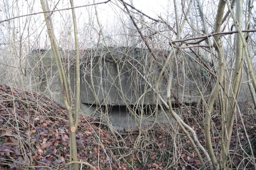 Ligne Maginot - LAMENDSAND OUEST - (Blockhaus pour arme infanterie) -  - Les Gardiens du Rhin