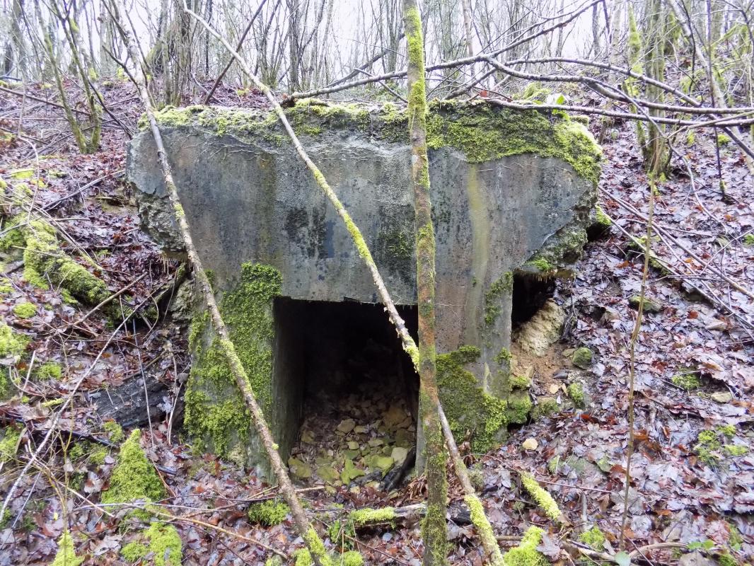 Ligne Maginot - CHARLEMAGNE (QUARTIER DU III / 148° RIF) - (PC de Quartier) - Entrée gauche - R Tucker