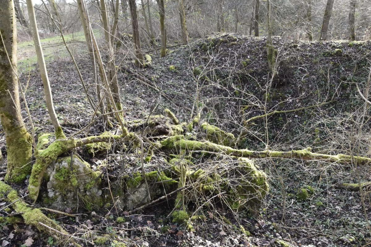 Ligne Maginot - G32 - MUHLWINKEL NORD - (Blockhaus pour arme infanterie) - tranchée et abri arrière du blockhaus - D.Froehly