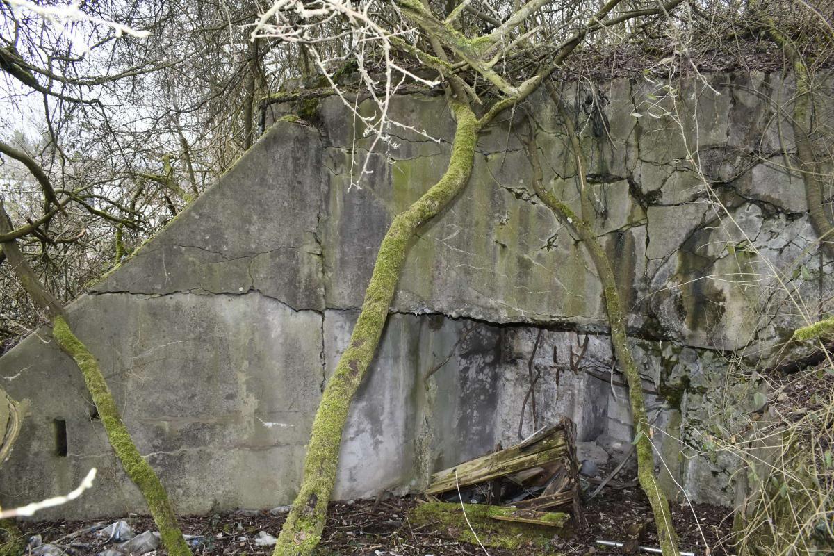 Ligne Maginot - PA NIFFER 1 - (Blockhaus pour canon) - Créneau de tir extérieur. - D.Froehly