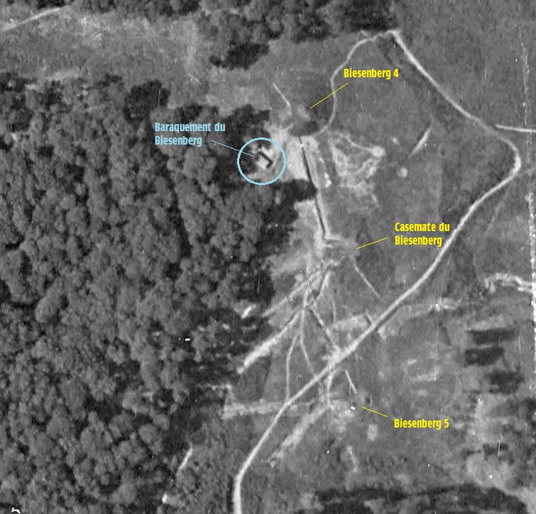 Ligne Maginot - BIESENBERG SOMMITAL - Situation des constructions du sommet du Biesenberg en 1938 - IGN - Géoportail 1938