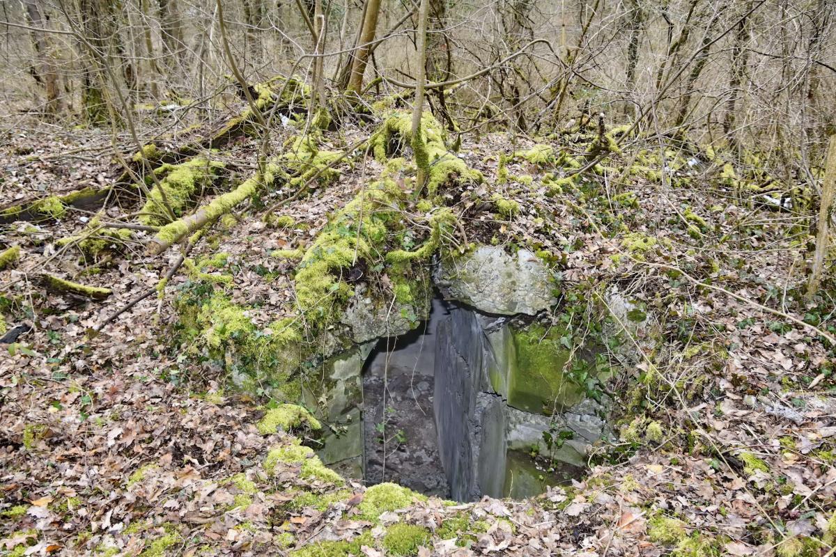 Ligne Maginot - OBERHARDTFELD 1 - (Blockhaus pour arme infanterie) - Coupole 7 RM, dont le toit gît à une dizaine de mètres - D.Froehly