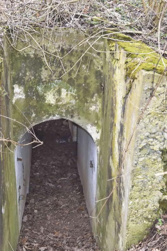 Ligne Maginot - OBERWALD SUD EST 1 - (Blockhaus pour arme infanterie) - Entrée - D.Froehly