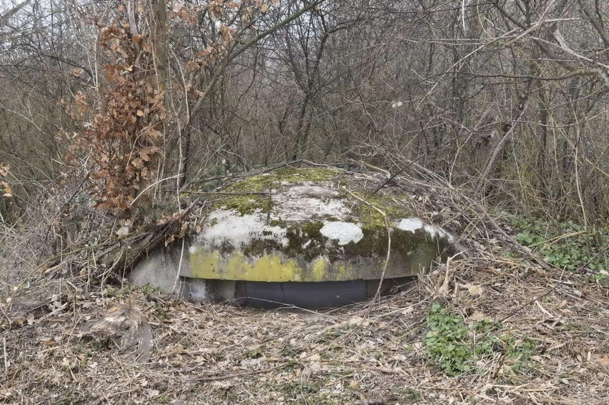 Ligne Maginot - OBERWALD SUD EST 3 - (Blockhaus pour arme infanterie) - La coupole - D.Froehly