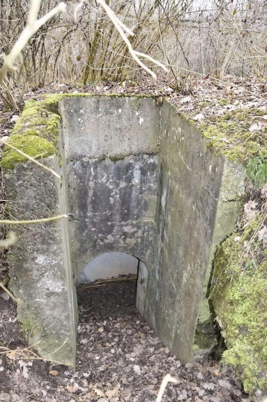 Ligne Maginot - OBERWALD SUD EST 3 - (Blockhaus pour arme infanterie) - Entrée - D.Froehly