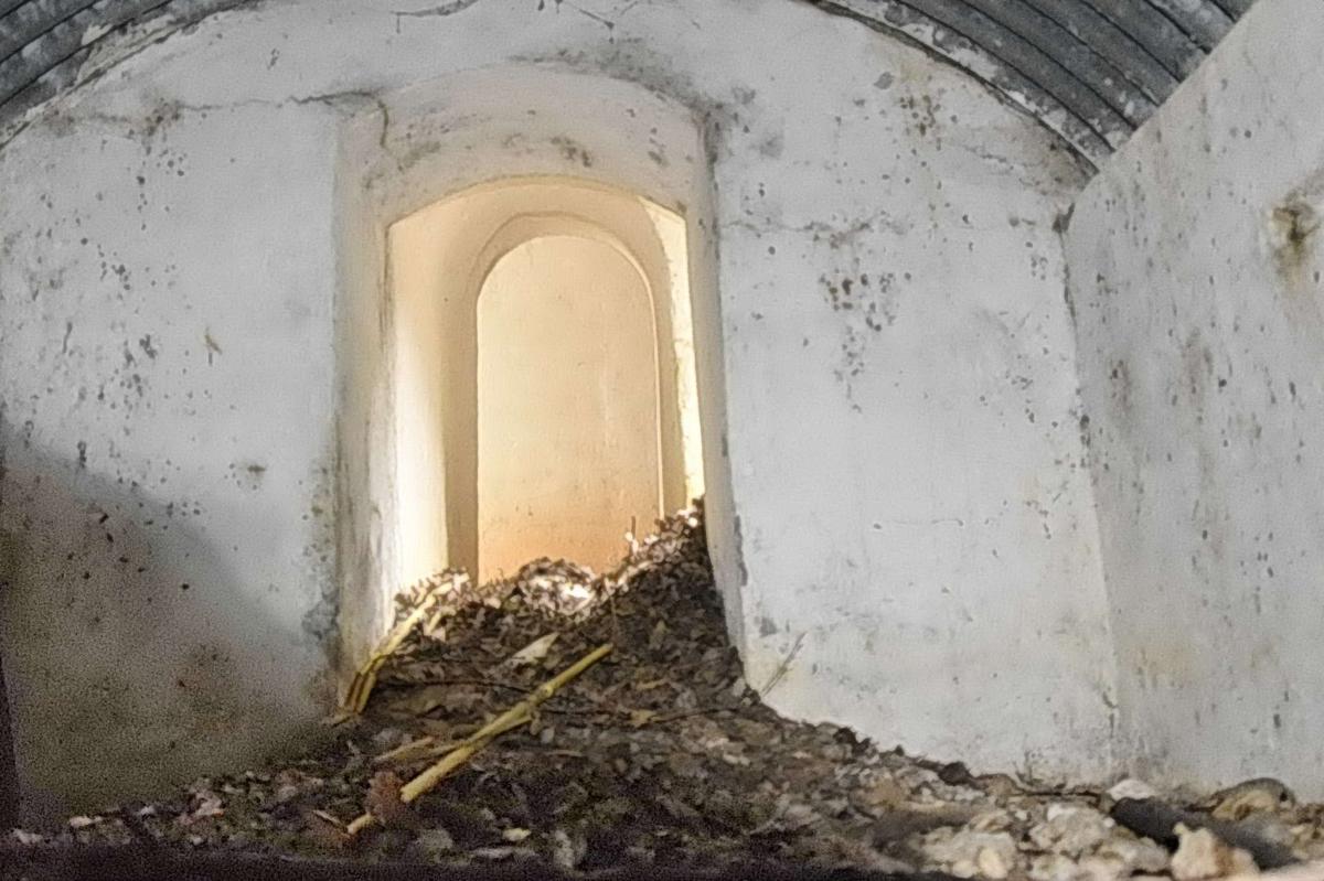 Ligne Maginot - OBERWALD SUD EST 3 - (Blockhaus pour arme infanterie) - Chambre d'un abri allemand (ww1) accolée à l’abri et réutilisée. Vue vers le couloir - D.Froehly