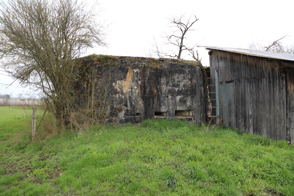 Ligne Maginot - GERSTHEIM 3 (TêTE DE PONT DE ) - (Blockhaus pour arme infanterie) - La façade sud du blockhaus - Les Gardiens du Rhin