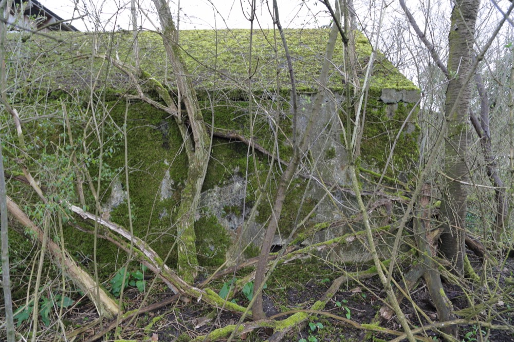 Ligne Maginot - GERSTHEIM 3 (TêTE DE PONT DE ) - (Blockhaus pour arme infanterie) - La façade arrière ou donnait les deux entrées maintenant obturées. - Les Gardiens du Rhin