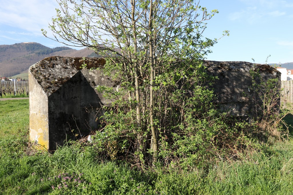 Ligne Maginot - LANGGASS NORD - (Blockhaus pour arme infanterie) -  - Alain Perouffe