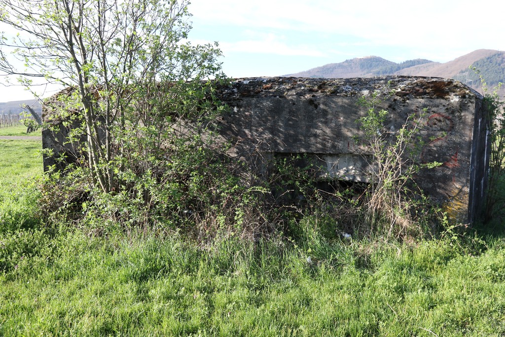 Ligne Maginot - LANGGASS NORD - (Blockhaus pour arme infanterie) -  - Alain Perouffe