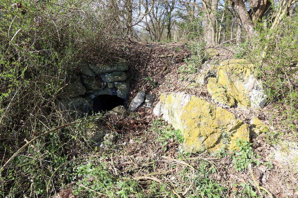 Ligne Maginot - LANGZUG 3 - (Blockhaus pour arme infanterie) - Emplacement de la coupole - Alain Perouffe