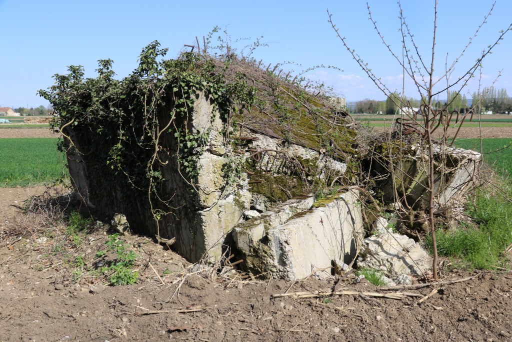 Ligne Maginot - GROSSE SOELGEL - (Blockhaus de type indéterminé) - Les ruines du blockhaus. - Alain Perouffe