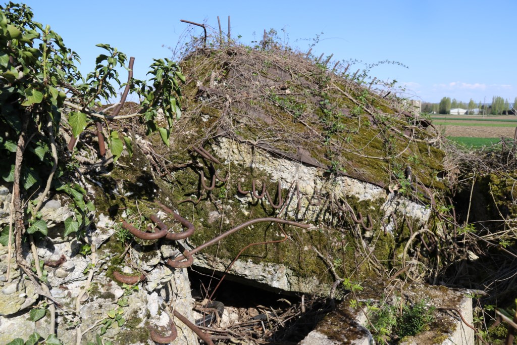 Ligne Maginot - GROSSE SOELGEL - (Blockhaus de type indéterminé) - Les ruines du blockhaus. - Alain Perouffe