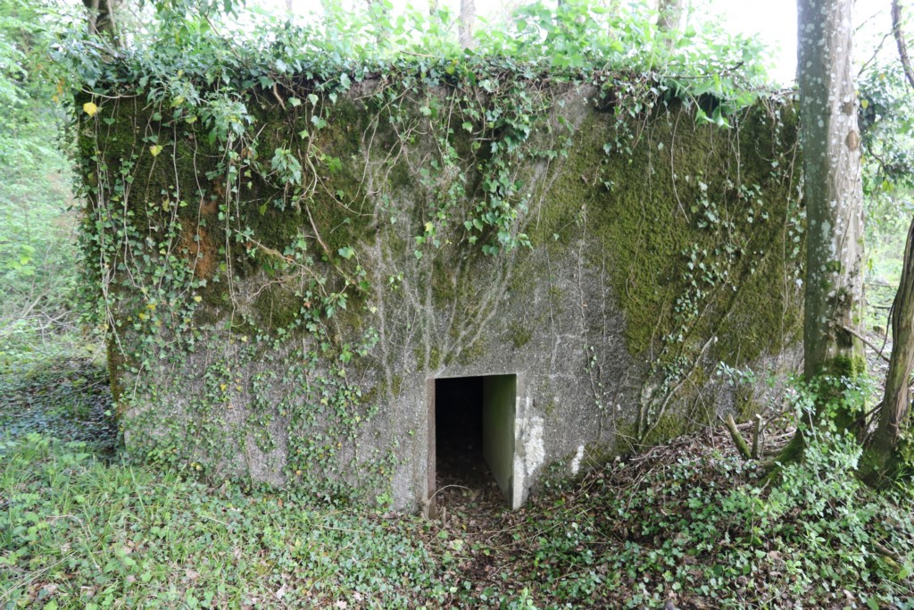 Ligne Maginot - CB422 - HART EST - (Blockhaus pour arme infanterie) -  - Alain Perouffe