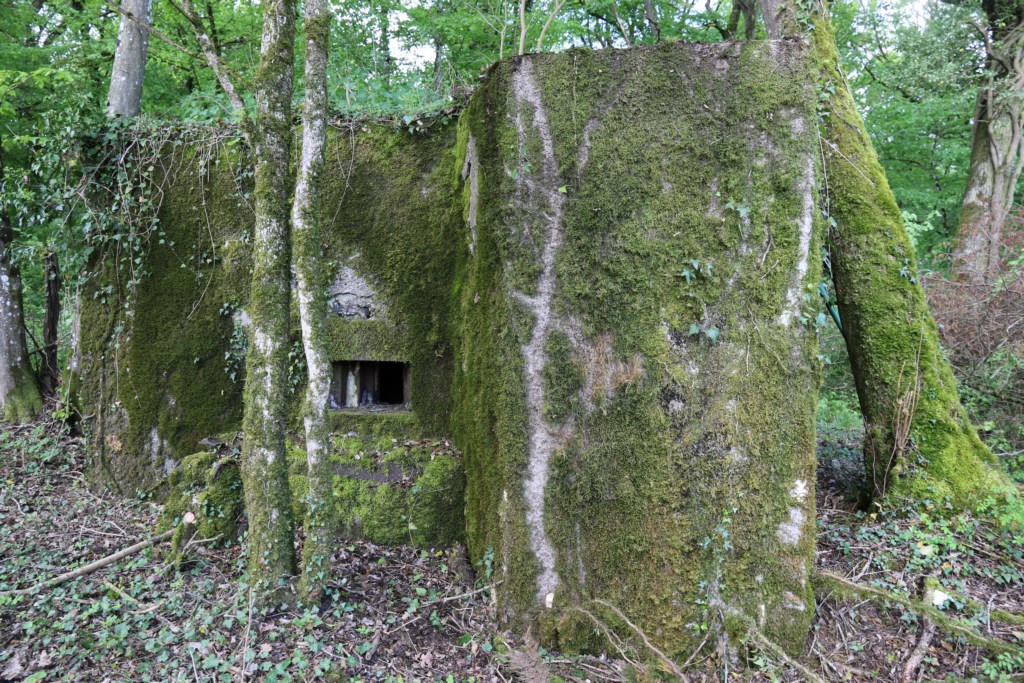 Ligne Maginot - CB422 - HART EST - (Blockhaus pour arme infanterie) -  - Alain Perouffe