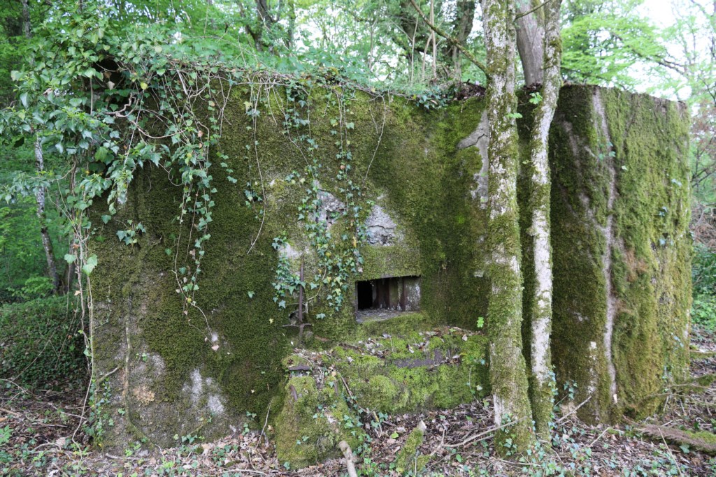 Ligne Maginot - CB422 - HART EST - (Blockhaus pour arme infanterie) -  - Alain Perouffe