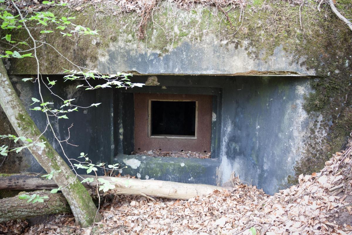 Ligne Maginot - ERLENMOOS Ouest (Avant Poste) (Blockhaus pour canon) - Bloc antichar - Fré Do