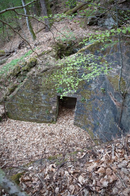 Ligne Maginot - ERLENMOOS Ouest (Avant Poste) (Blockhaus pour canon) - Entrée du local annexe - Fré Do