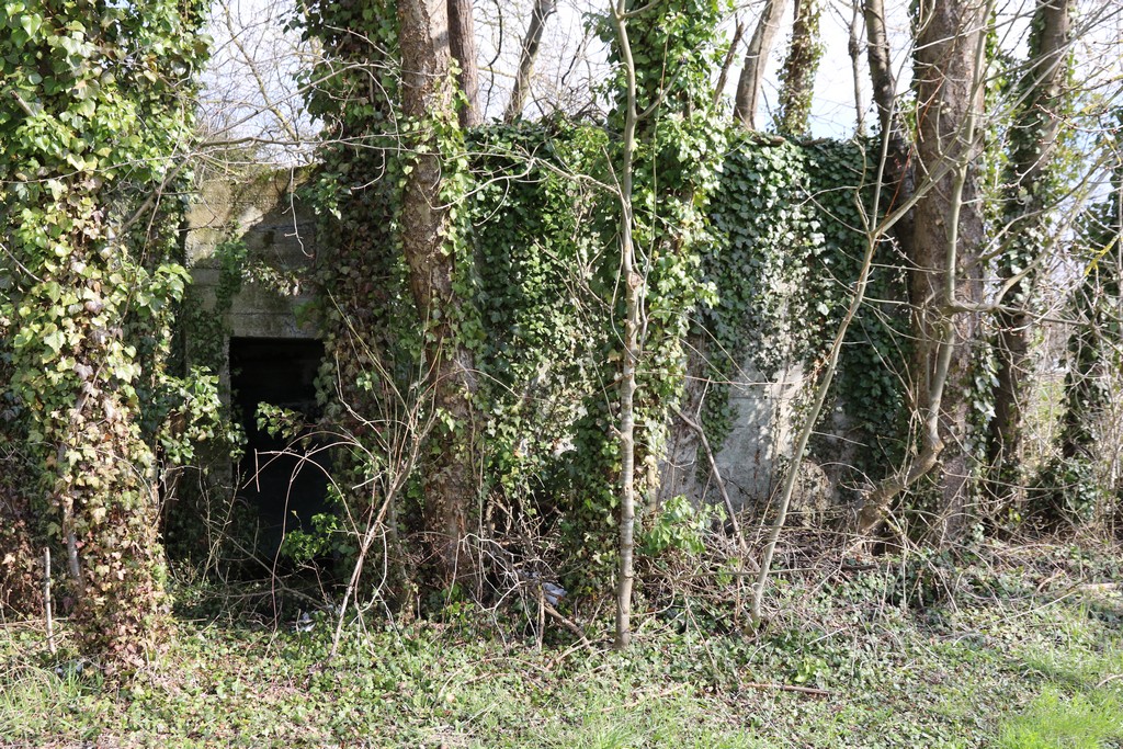 Ligne Maginot - JEBSHEIM 5 - (Abri) -  - Alain Perouffe