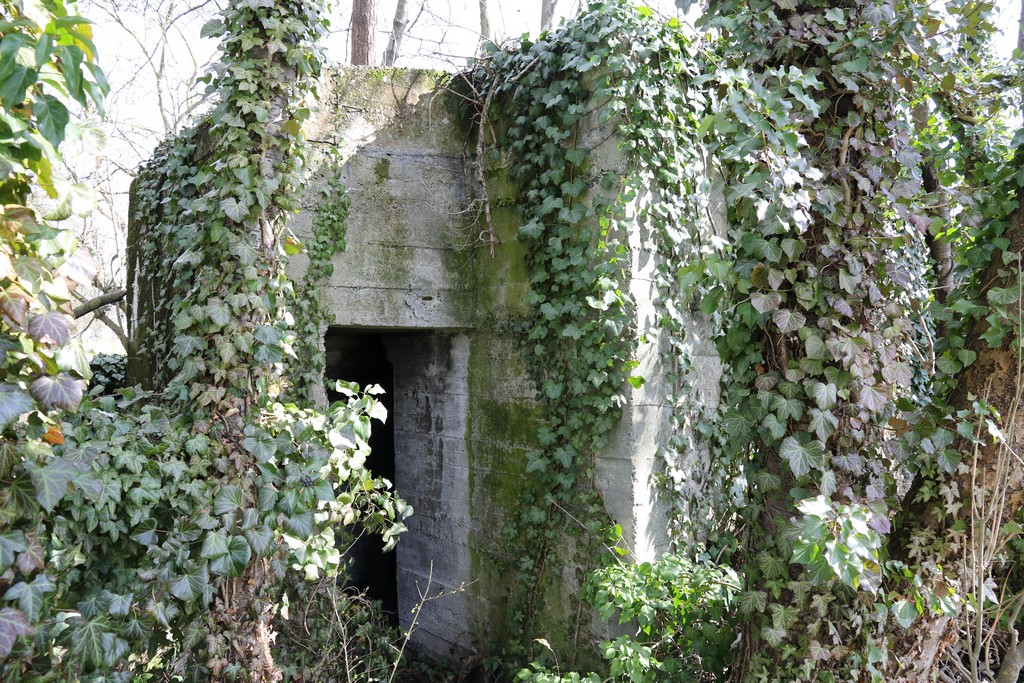 Ligne Maginot - JEBSHEIM 5 - (Abri) -  - Alain Perouffe