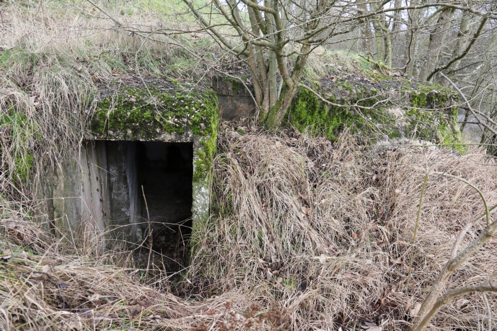 Ligne Maginot - SARRALBE CANAL 3 - (Blockhaus pour arme infanterie) -  - Alain Perouffe
