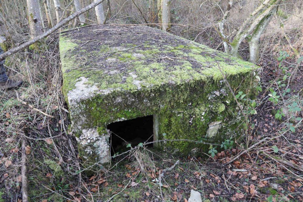 Ligne Maginot - Cuve SCHWANDELWALD 3 - Abri contigu - Alain Perouffe