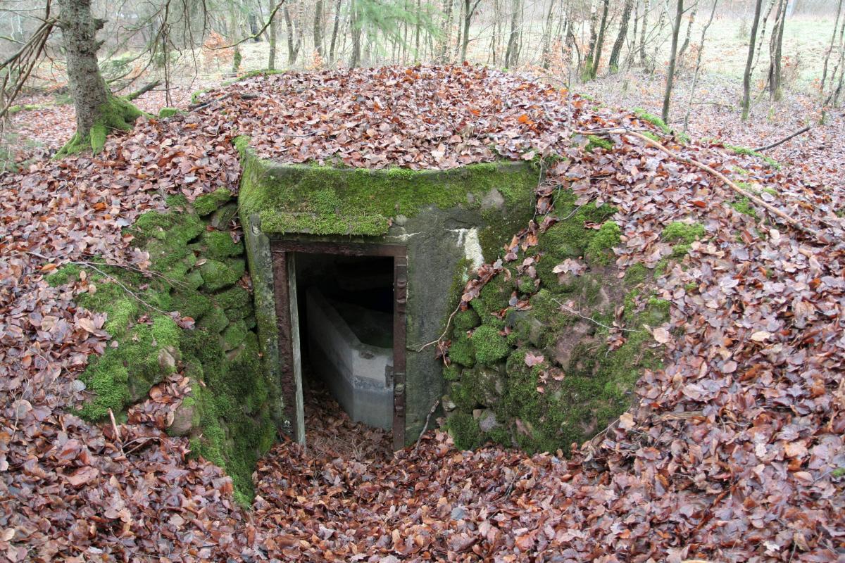 Ligne Maginot - M80 - FINSTERTHAL 4 - (Blockhaus pour arme infanterie) - Vue extérieure de l'entrée - B. HENRICH