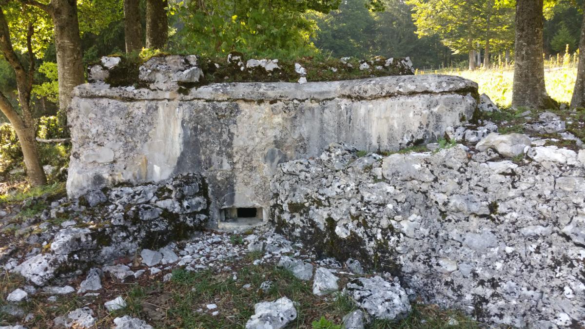 Ligne Maginot - GRANGES MICHEL - (Blockhaus pour arme infanterie) - Bloc vu de l'avant.
Un soin particulier est apporté à son intégration dans le paysage par le choix de son emplacement dans un amas rocheux - Jean-François Althaus