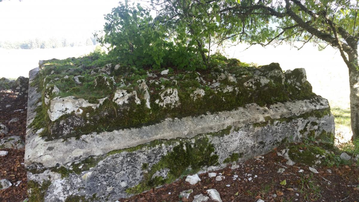 Ligne Maginot - GRANGES MICHEL - (Blockhaus pour arme infanterie) -   bloc vue de l'arrière. Un soin particulier du camouflage est apporté par la pose de rochers sur le toit. - Jean-François Althaus