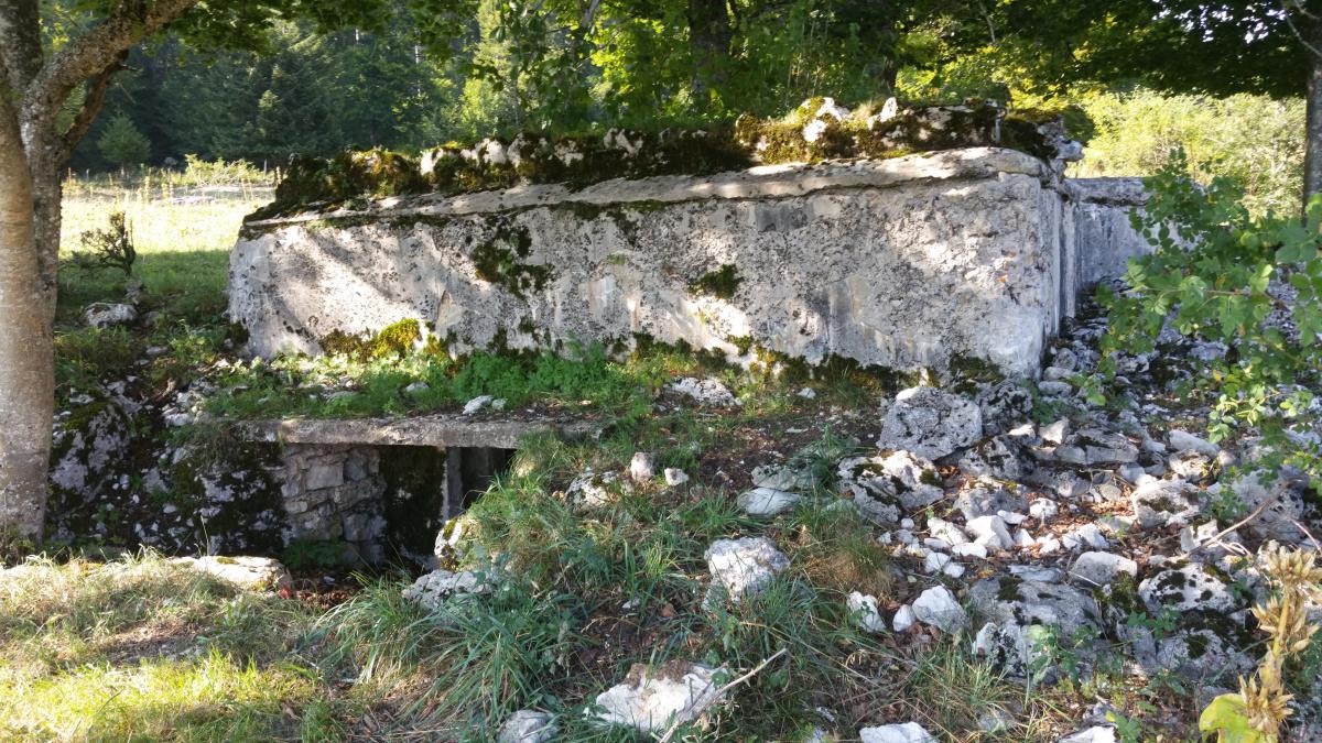 Ligne Maginot - GRANGES MICHEL - (Blockhaus pour arme infanterie) - Entrée latérale du bloc. A noter le rajout d'une dalle au-dessus de l'accès. - Jean-François Althaus