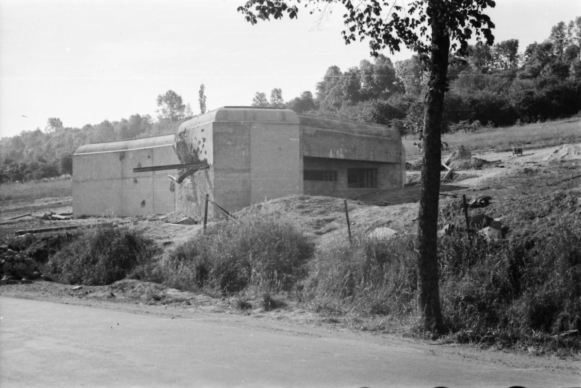 Ligne Maginot - 101 - PAQUIS DES CAILLES - (Blockhaus lourd type STG / STG-FCR - Double) -  - Inconnu