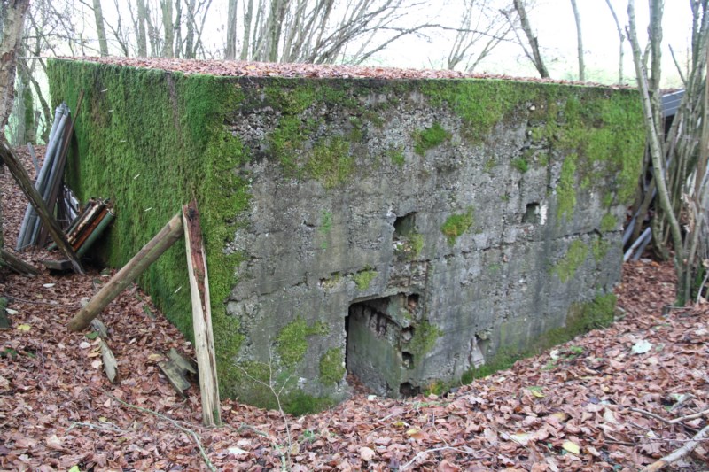 Ligne Maginot - EHEFLOSS NORD - (Blockhaus pour arme infanterie) -  - Alain Perouffe