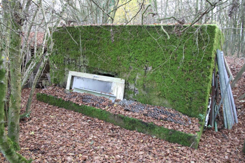 Ligne Maginot - EHEFLOSS NORD - (Blockhaus pour arme infanterie) -  - Alain Perouffe