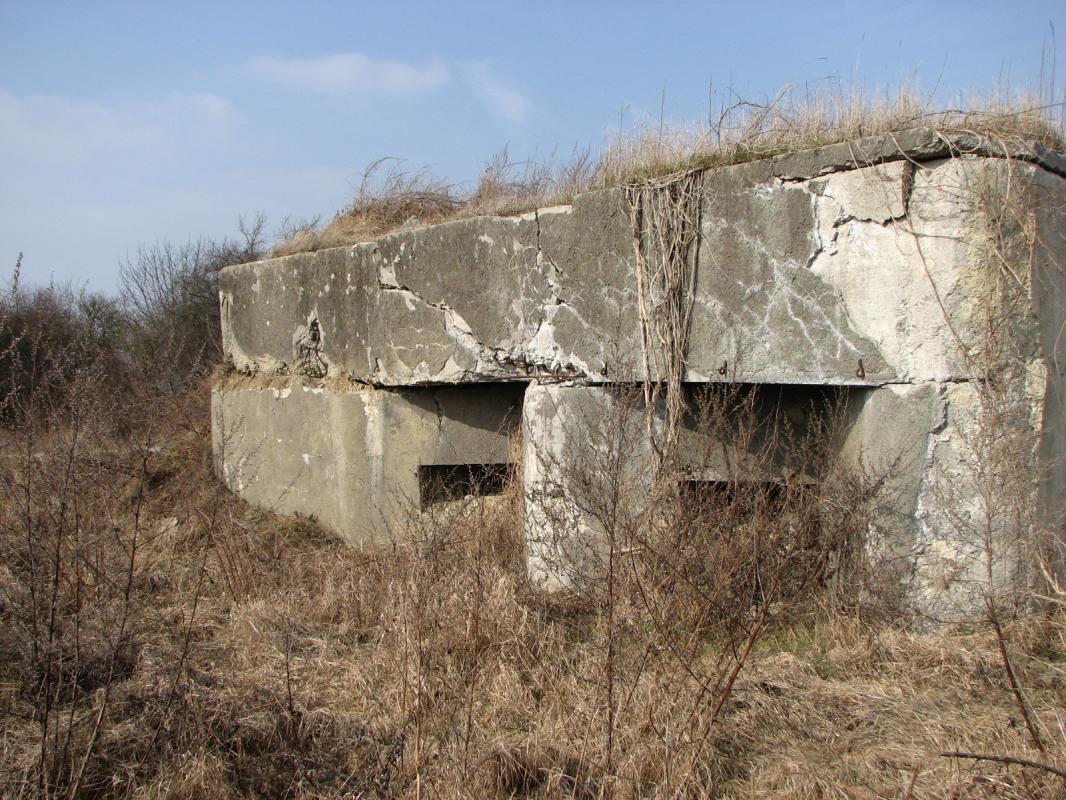 Ligne Maginot - 59/3 - BANTZENHEIM SUD - (Casemate d'infanterie - double) - Créneau sud - JF Althaus