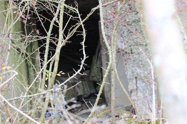Ligne Maginot - AC3B - MC15  - BIDING NORD - (Casemate d'artillerie) - Un interieur dangereux - jin jac