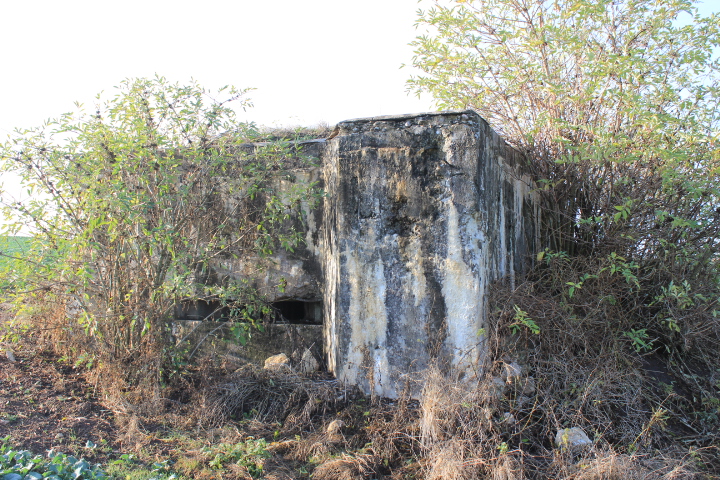 Ligne Maginot - RODENBERG 2 - (Blockhaus pour arme infanterie) -  - JIN JAC