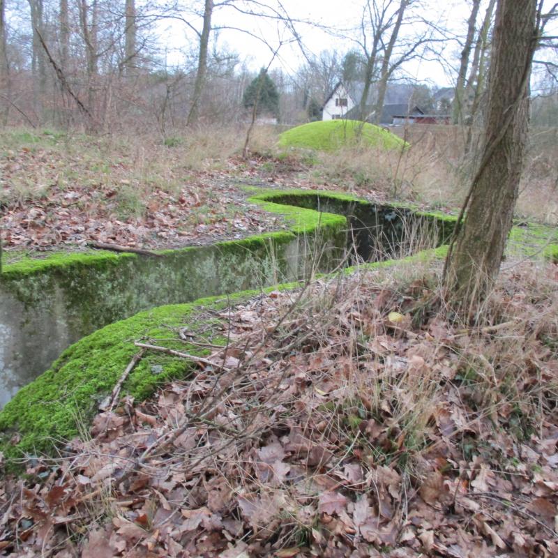 Ligne Maginot - HUNDSAU - (Blockhaus pour arme infanterie) - Le blockhaus  - Arthur 