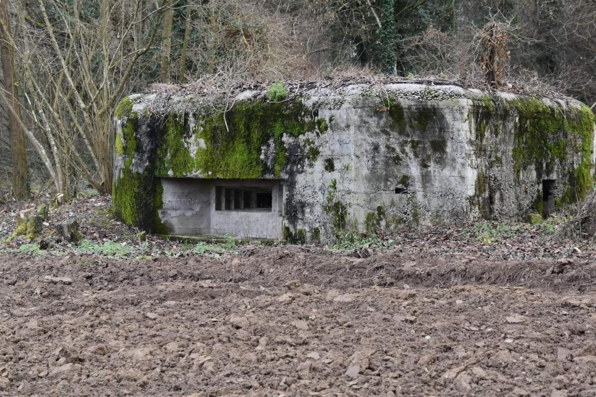 Ligne Maginot - PA DE SIERENTZ OUEST 2 - (Blockhaus pour arme infanterie) - Vue du coté des créneaux - Daniel Froehly