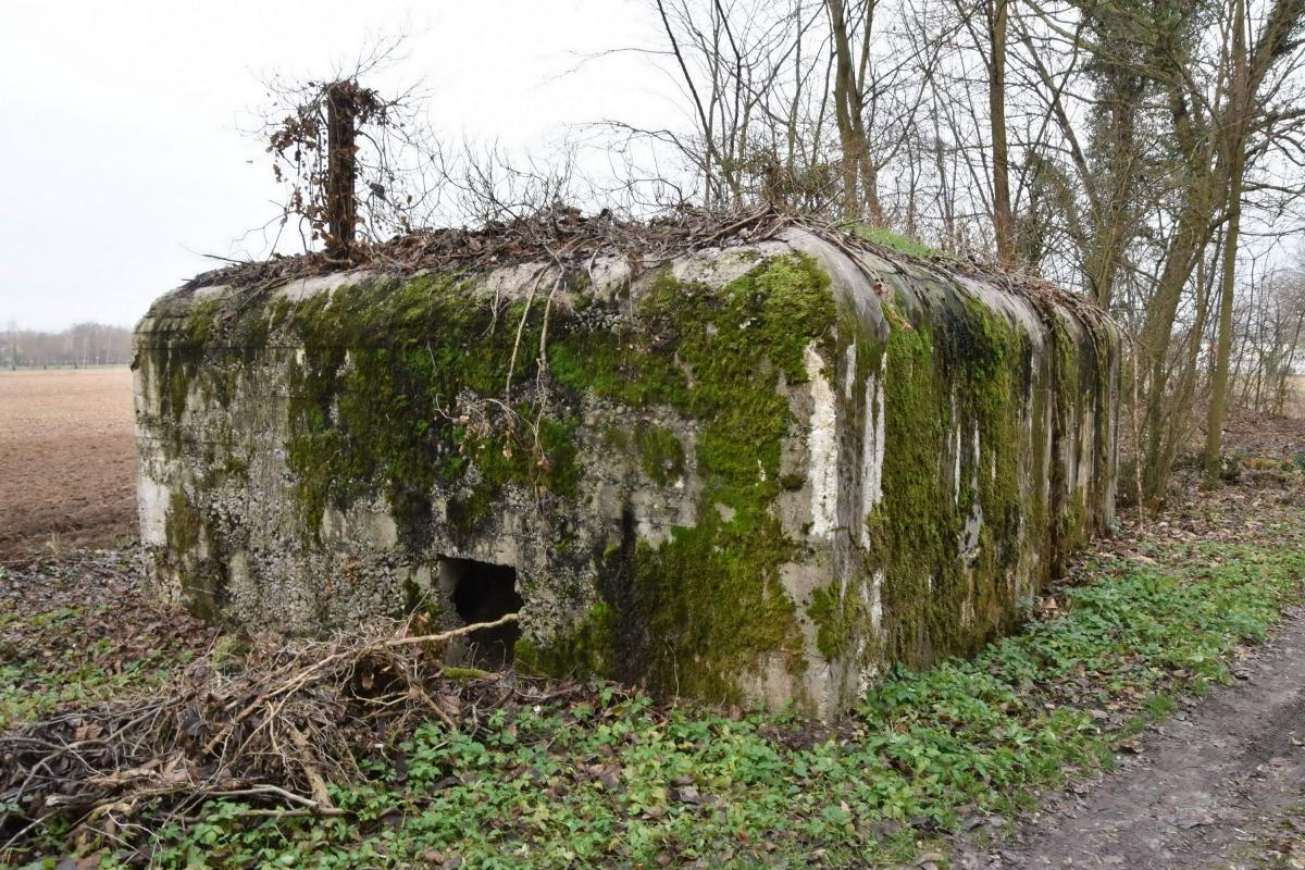 Ligne Maginot - PA DE SIERENTZ OUEST 2 - (Blockhaus pour arme infanterie) - Vue du coté de l'entrée - Daniel Froehly